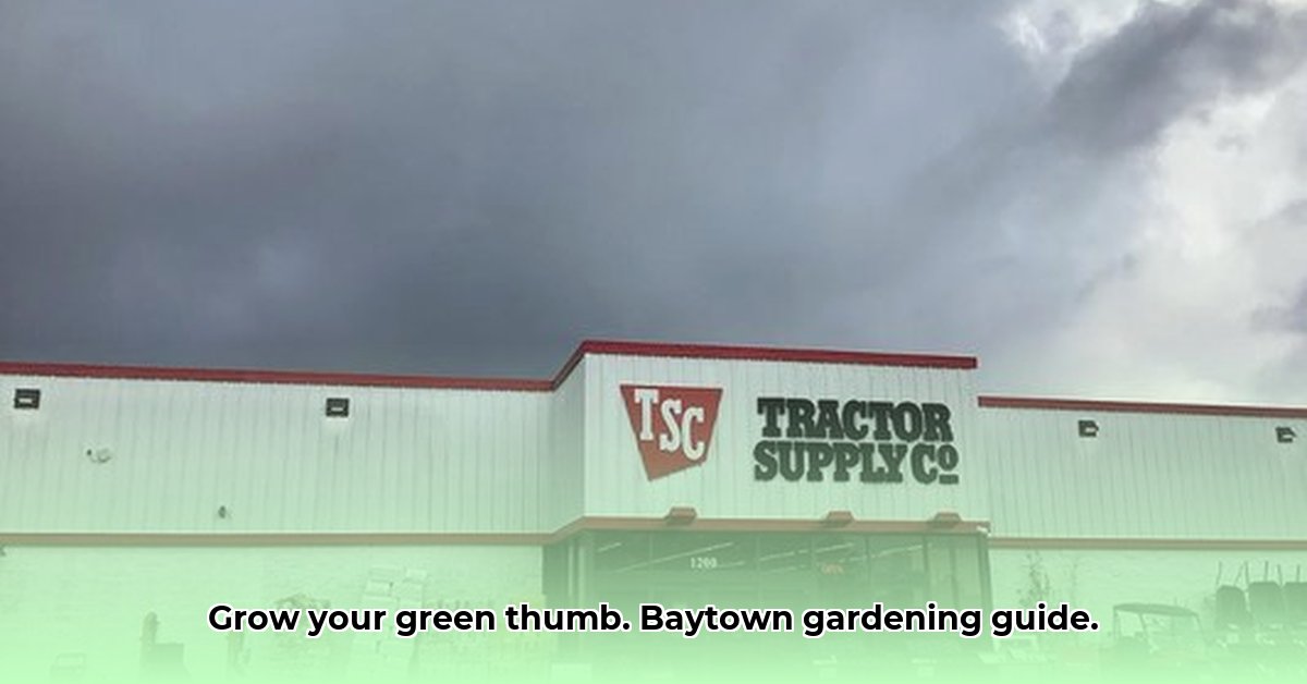tractor-supply-baytown-texas